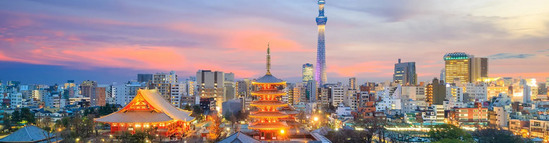 Tokyo skyline