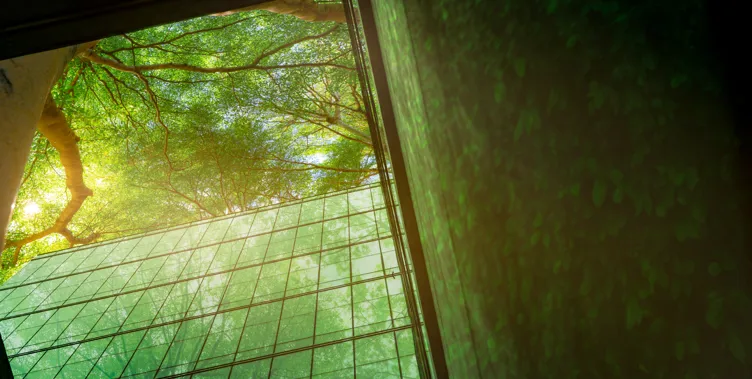 View looking up at a glass building surrounded by green trees, with sunlight and reflections.